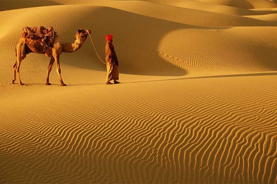 Deluxe Tents in Jaisalmer
